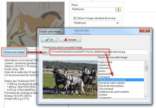 33 select horse picture
