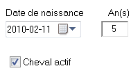 33 133 active horse