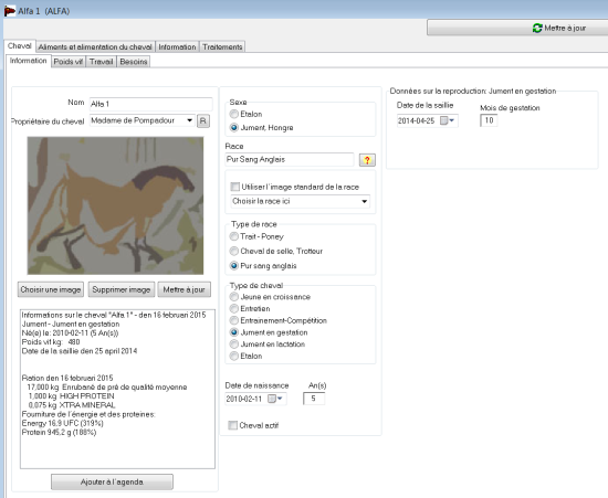 33 136 horsewindow