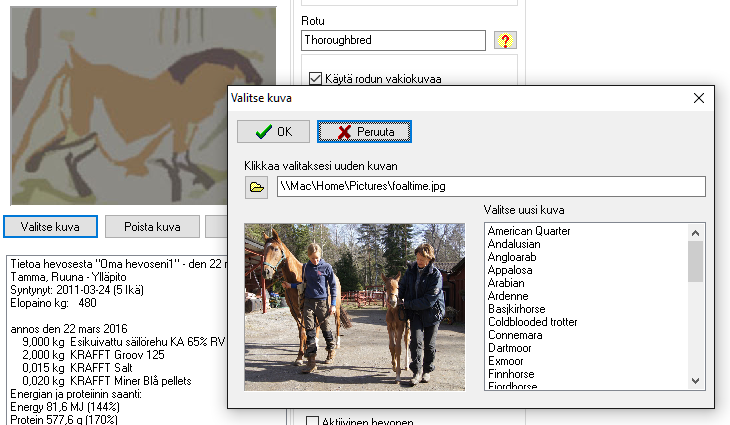 358 selecthorsepicture3