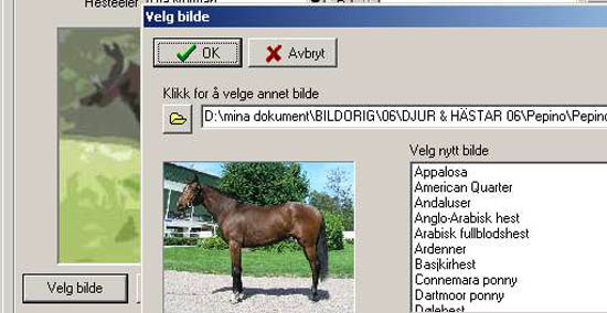47-225valgbild3