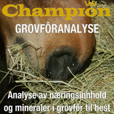 Champion.Grovforanalyse