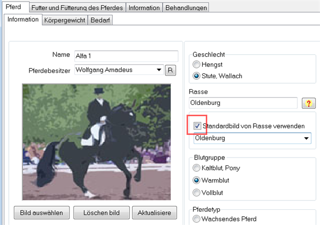 49 horsepicture 1