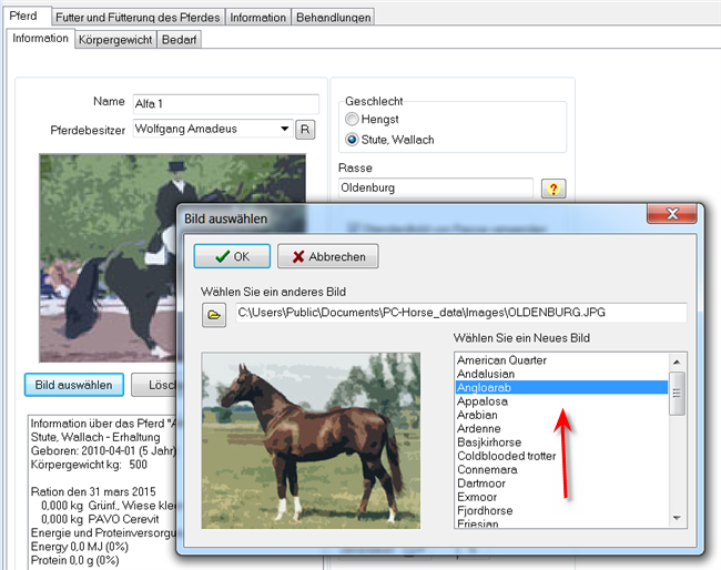 49 horsepicture 2