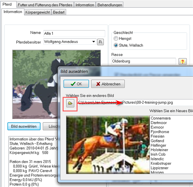 49 horsepicture 3