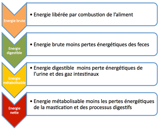 33energidiagram april14