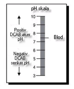 DCAB-scale